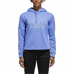 Adidas Team Issue Climawarm Hoodie Sweatshirt
